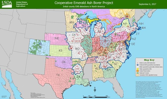 According to Wisconsin s EAB Information Source the loss of the ash in the urban forests would cost property owners and taxpayers: $3 billion for tree replacement. $1.
