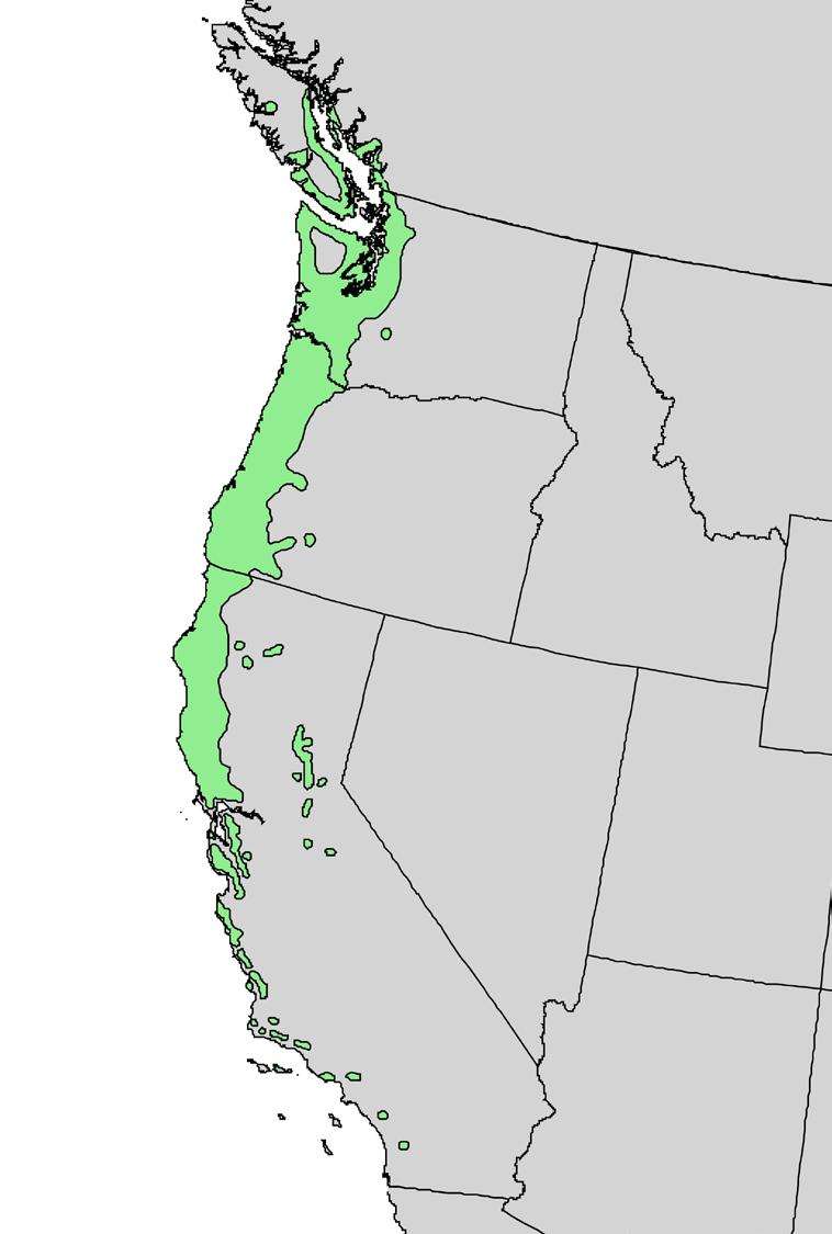 Geographic Range of Pacific madrone Arbutus menziesii A Pacific coast species, limited to mild winter climate