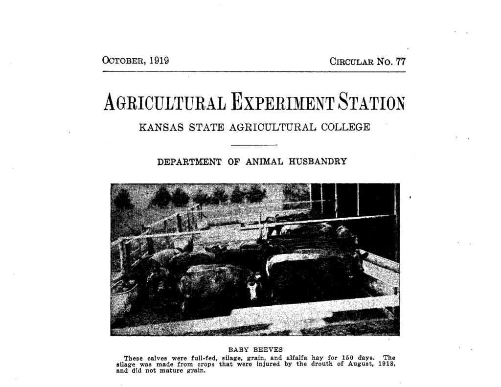 CATTLE FEEDING INVESTIGATIONS, 1918-19 C. W. MCCAMPBELL, F. W. BE