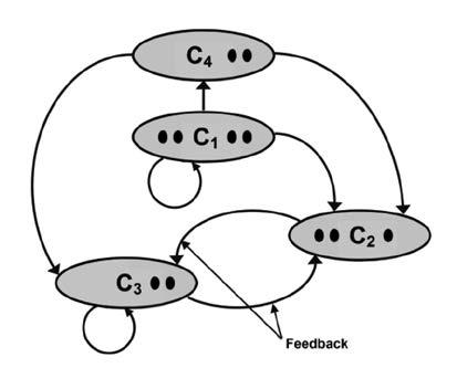 The network is the so-called feedback structure that contains components (clusters) and elements (knots) within components, as well as loops and arcs that connect the components of the network.