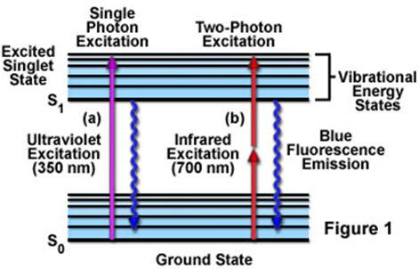 MICROSCOPY excitation: 1 photon aborption: t = 10-15 E = E excited E