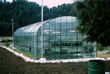 Klamath Falls, Oregon Greenhouses use geothermal energy to enhance