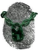 IDENTITY THEFT FACTS Currently there are over 40,000 identity theft