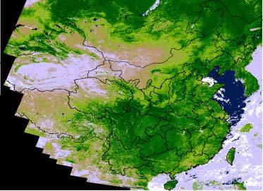 Figure 6. Map of 16-day NDVI composite with a resolution of 5m in China, 8-23, July-22 2.