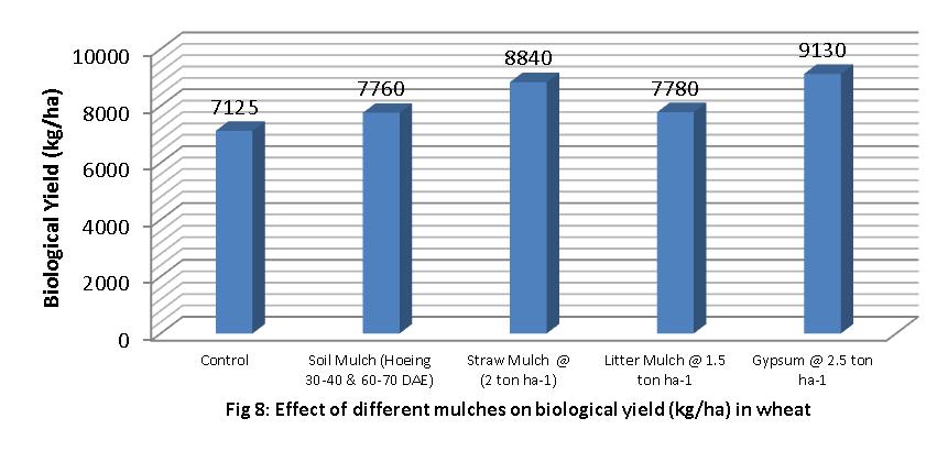 References Ahmed, Z. I., M. Ansar, M. Iqbal and N. M. Minhas. 2007. Effect of planting geometry and mulching on moisture conservation, weed control and wheat growth under rainfed conditions Pak. J.