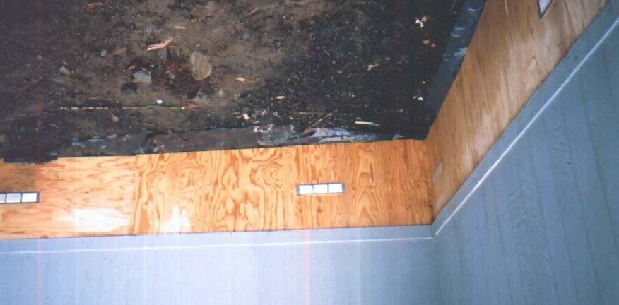Untreated plywood used in contact with earth.