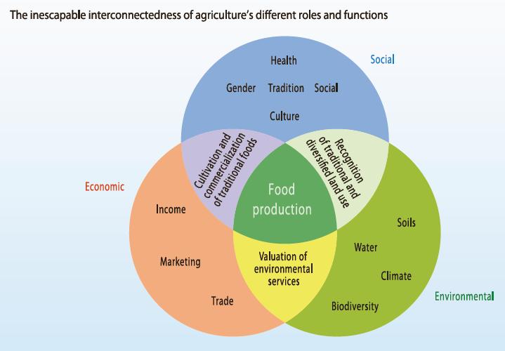 Source: International Assessment of Agricultural