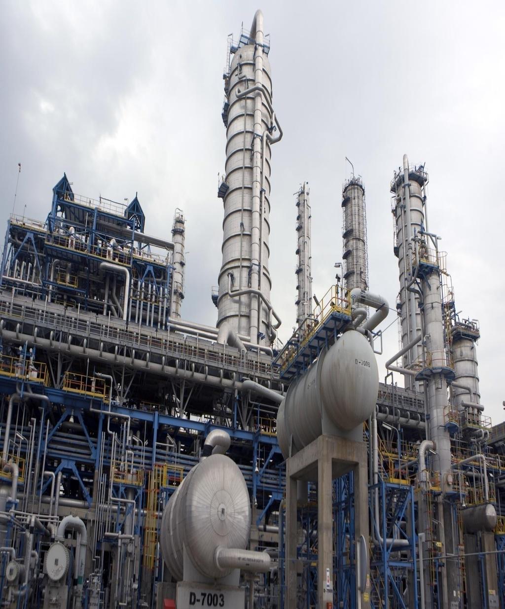DEVELOPING THE WORKFORCE OF TODAY AND THE FUTURE In challenging times, petrochemical companies cannot aﬀord to pour resources (time and money) into generalized development, expecting that they will