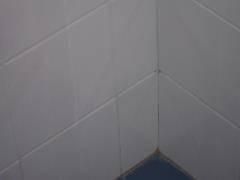 BATHROOMS Important Notes: Shower areas (where present) are visually checked for leakage, but leaks often do not show except when the shower is in actual long term use.