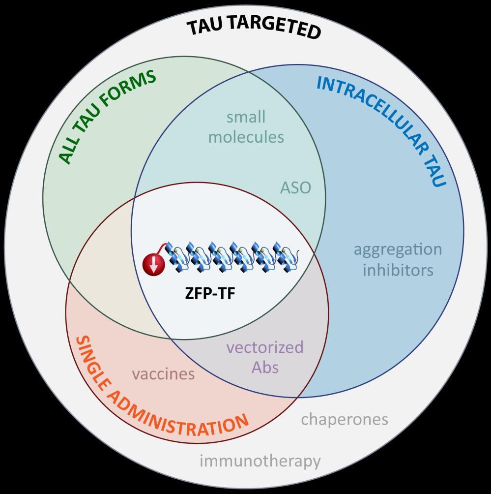 Sangamo s ZFP-TFs: A differentiated platform for tau targeting "Of the many approaches to reduce tau expression that we've studied, zinc finger protein gene regulation