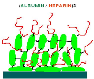 which albumin is the main protein component (4-5%).