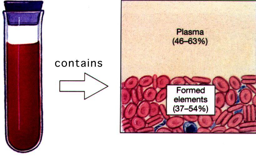 Blood = connective tissue Extracellular