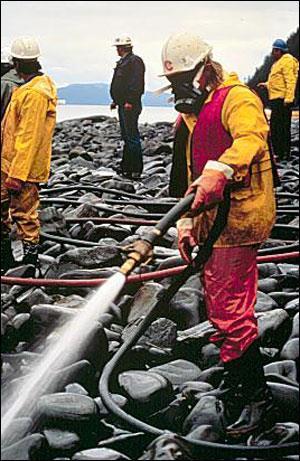 Oil Spills - volatile organics can kill many aquatic