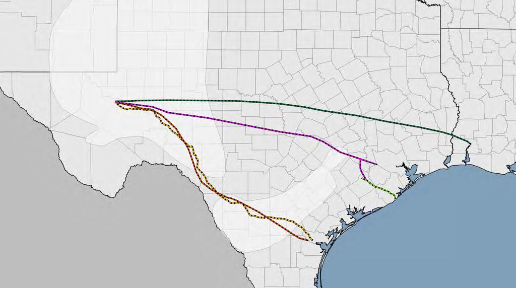 New Mexico Texas» At least two major Permian pipeline projects will be needed to relieve these constraints; to move the supply to the only U.S.