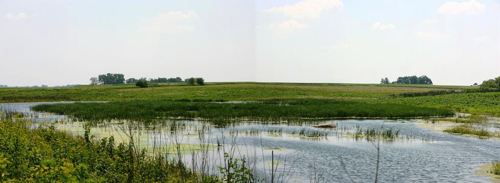 38 191 Iowa Conservation Reserve Enhancement Program (CREP) 1 km Targeted Wetland Restoration Percent nitrate mass removed 100 80 60 40 20 0 0 0.