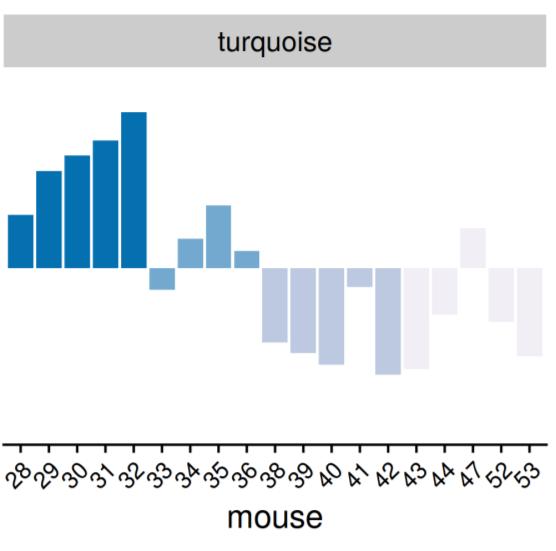 Cross-correlation filtered for three-way omics Turquoise module Highly connected Significant correlations to other omics 0.55 (p=0.01) 0.48 (p=0.04) 0.47 (p=0.