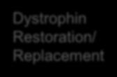 Fibrosis Dystrophin Restoration/ Replacement Poloxymer