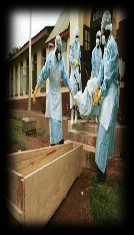 Ebola and Marburg Viruses Human infections: