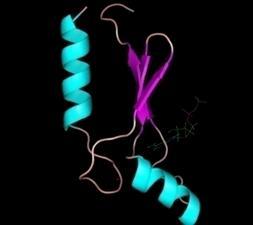 RNA-based Therapeutics Splice