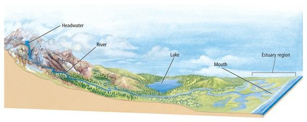 2. Rivers and streams also might start from underground springs or from snowmelt. The slope of the landscape determines the direction and speed of the water flow.