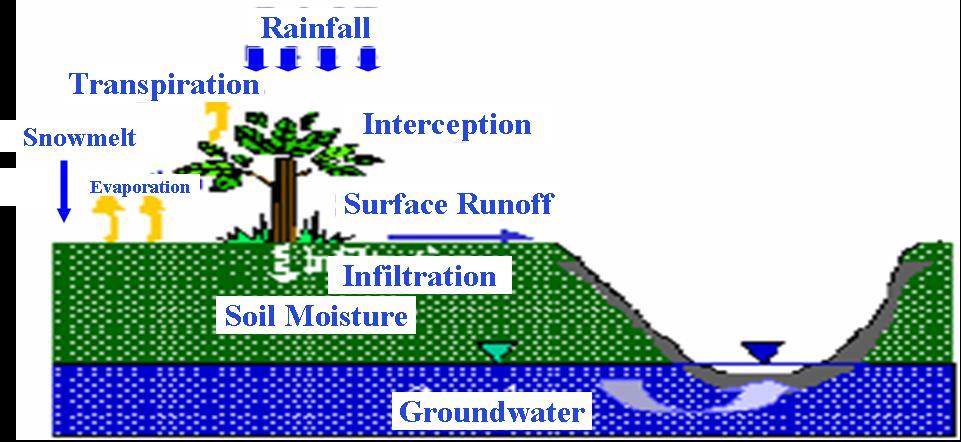 Distributed Hydrological Model Grid-based Model for Large River Basin (Yang, 2) 网格 Basin Sub-basin Grid Hillslope