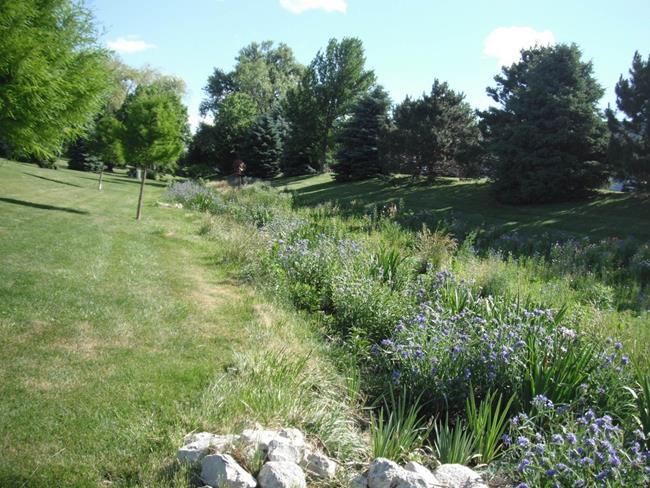 Example of High Cost Residential Bioswale http://www.