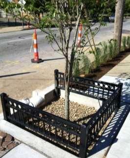 Construction Tree Boxes Inlet of street flow into the practice Curb considerations