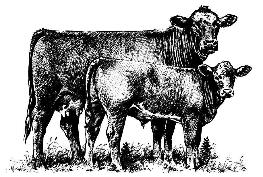 Beef Cattle News February 2016 Izard County Cooperative Extension 97 Municipal Drive / Po Box 428 Melbourne AR 72556 Michael Paskewitz, CEA, Staff Chair Phone: 870-368-4323 / Fax: 870-368-4293 New