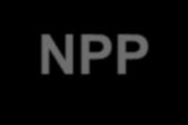 NPP-2006