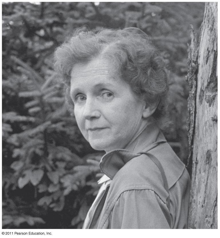 In the 1960s Rachel Carson brought attention to the biomagnification of DDT in birds in her book Silent Spring DDT was banned in the