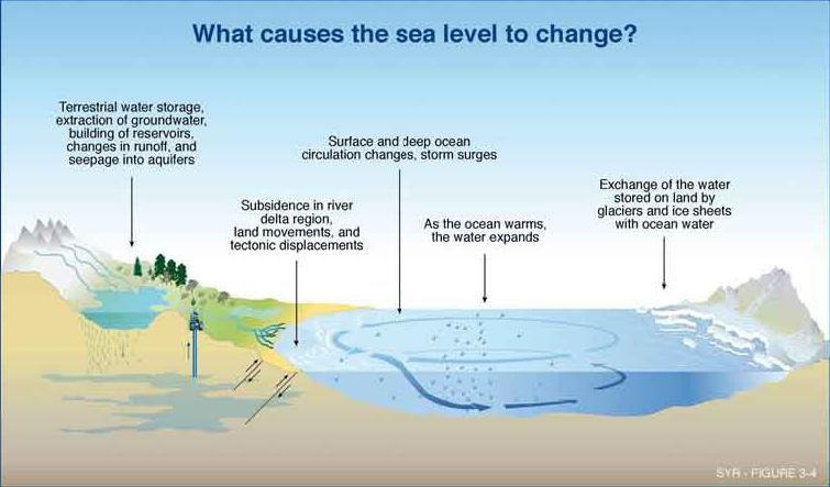 Sea Level Change Effects of Rising Sea Level Local sea level rise depends on global