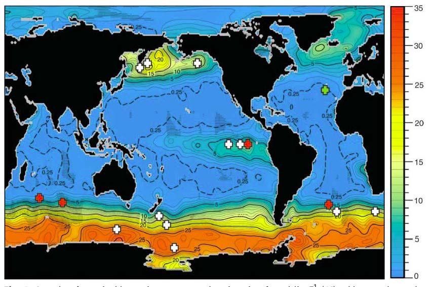 Ocean Iron Fertilization for C Sequestration In addition to CO 2, and N, phytoplankton Need