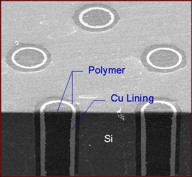 TSV Structure - with Polymer Isolation Isolation