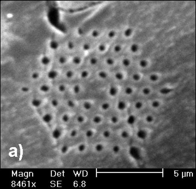M.A. van Eijkelenborg et al. / Optical Fiber Technology 9 (2003) 199 209 203 Fig. 2. (a) Electron microscope image of a single-mode microstructured polymer optical fibre with inter hole spacing of 1.