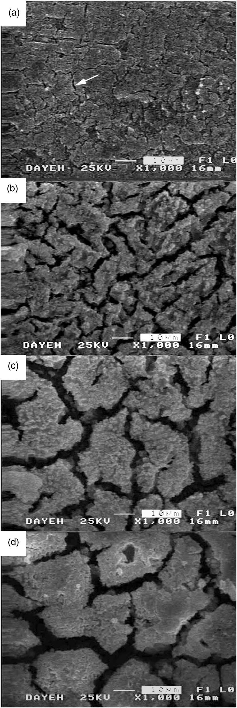 B91 Figure 1. Evolution of surface morphology on AZ31 plate immersed in the phosphate/permanganate solution at 40 C for a 0.5; b 2; c 5; and d 10 min. Figure 2.
