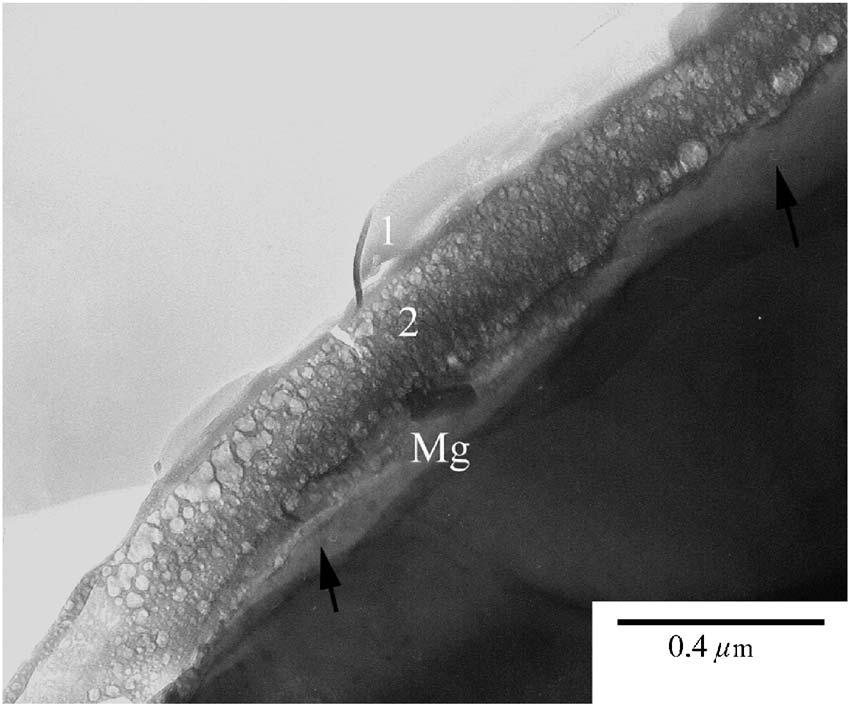 B92 Figure 3. XRD patterns of AZ31 plate a without coating and after immersion in the phosphate/permanganate solution at 40 C for b 0.5; c 2; d 5; and e 10 min. Figure 4.