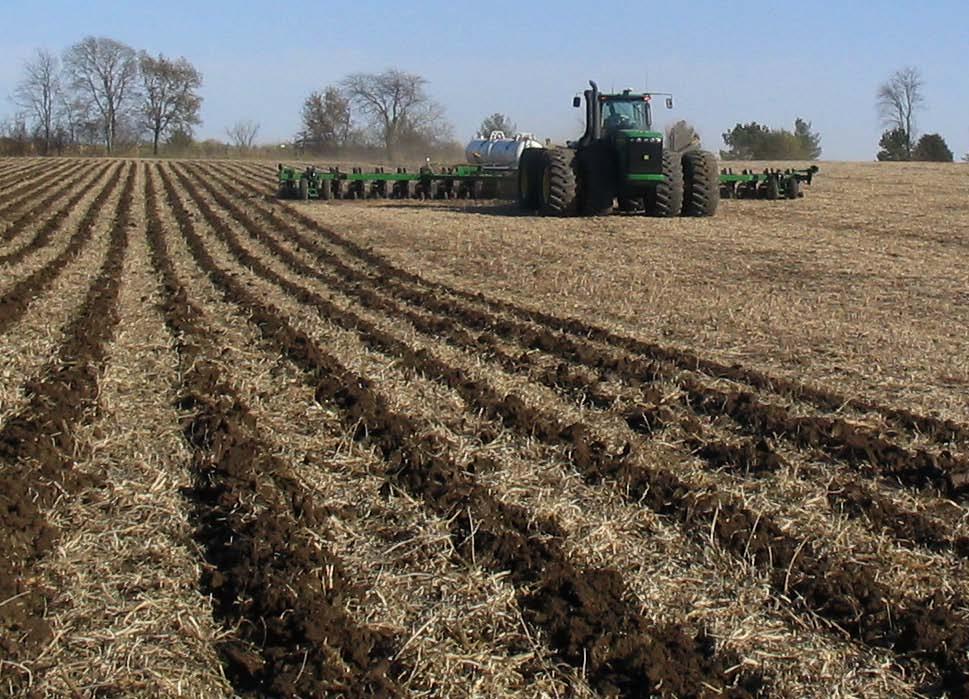 Successful Strip Tillage after Soybean and with Reasonable Soil Moisture