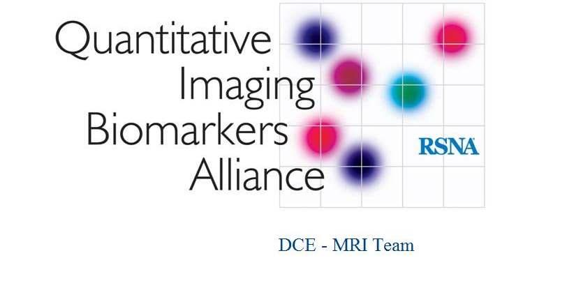 DCE MRI Team Activity Gudrun