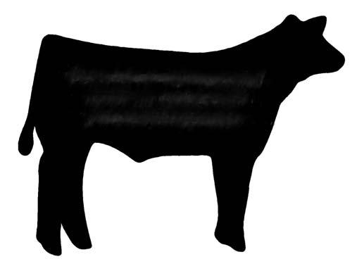 Virginia 4-H Beef Heifer Project Junior Record Book (for youth ages 9-13) Name Date of Birth Age Physical Address Mailing Address (if different) What county/city 4-H program are you enrolled in with