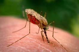 seconds a child dies from malaria How can climate