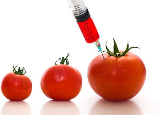 Genetically Modified Crops & Animals Plants and animals that have been