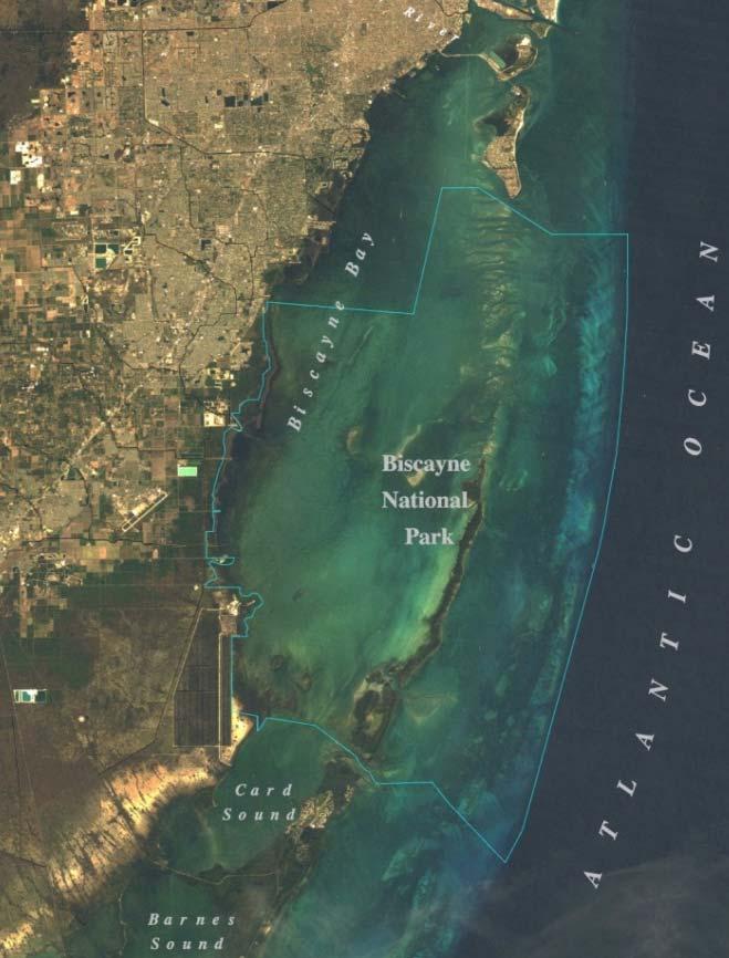 Biscayne National Park One of the largest marine parks in the national park system at 173,000 acres, 95% submerged lands.