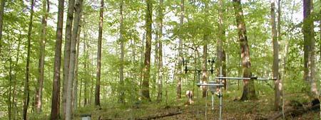 Flux tower measurements to