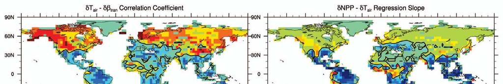 CCSM1 C4MIP simulation Correlation of air temperature with soil moisture Low latitudes Negative correlation: warming leads to