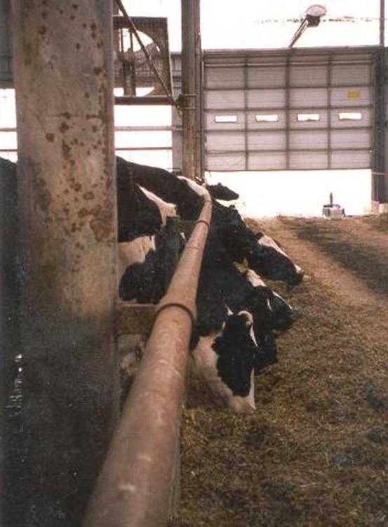 , The Professional Animal Regular forage testing = 1%. Scientist 213. Surveyed 23 Kentucky dairy herds with > 22, lbs. of milk.
