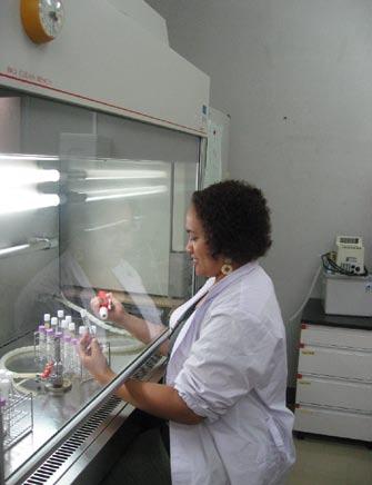 Final report for Mini-project MS0503: Microalgae culture training for Samoa Fisheries