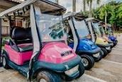 195,000 / child 8 Buggy Rental Sun-Thu: Rp 180,000 (1 hour) Not Applicable Daily: 0900hrs - 1700hrs (within Nirwana Gardens)