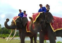 31 Elephant at Jumbo Park * (1) Elephant Culture Show RP 240,000 / adult Rp 175,000 / child (2) Elephant Ride (10mins) Rp 145,000 / adult Rp 120,000 / child