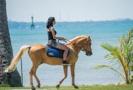 Horse Ride Rp 80,000 / person / round Rp 100,000 / person / round Mon-Thu: 1000hrs to 1600hrs (50% off for 2nd consecutive round onwards) (50% off for 2nd