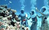 715,000 / person / hour (For beginner + lesson) 19 UnderSea Walk Rp 600,000 / person Rp 750,000 / person Daily: 0900hrs - 1700hrs (includes 1 bottle of mineral